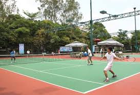 Tennis Hùng Anh