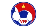 Liên đoàn bóng đá Việt Nam